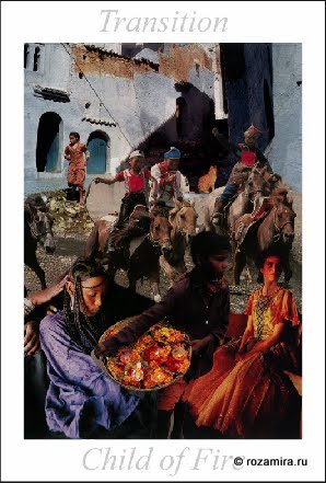 Nature Tarot by Jan Strube